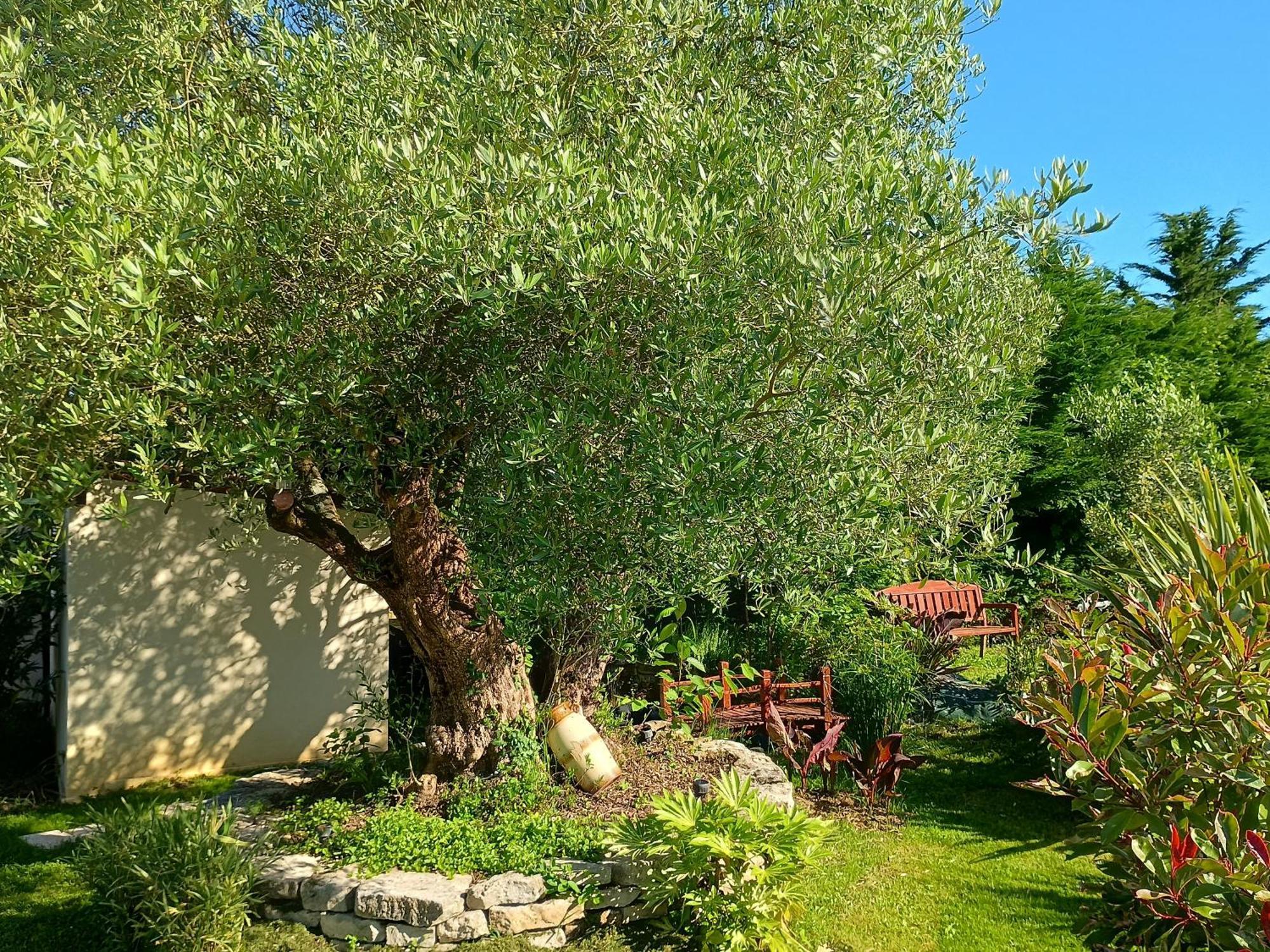 Gite Les Rosiers Au Domaine Des Sauvineries Saint-Germain-de-Princay Exterior foto